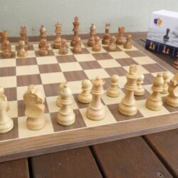 Boxwood - Acacia Wood Pieces