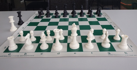 Chess Pieces Standard + 2Q