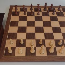 Wooden Pieces. Sheesham. 57mm Walnut Box
