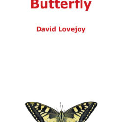 Yellowstone Butterfly