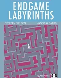 Endgame Labyrinths (HB)