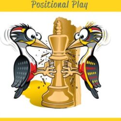 Woodpecker 2 (Hardback)