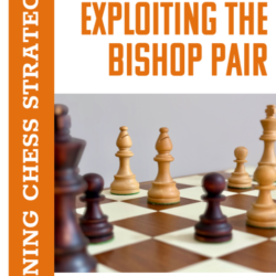 Exploiting The Bishop Pair