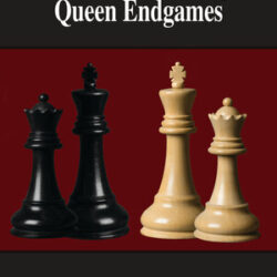 Understanding Queen Endgames