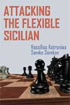 Attacking The Flexible Sicilian