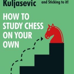 How To Study Chess On Your Own