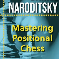 Mastering Positional Chess HB
