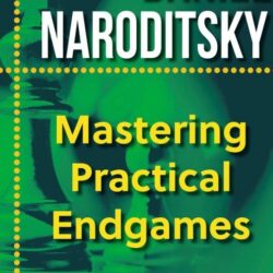 Mastering Practical Endgames