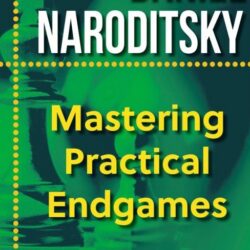 Mastering Practical Endgames