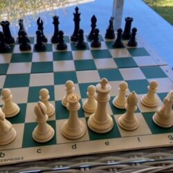 Weighted Chess Pieces (Quadruple, coffee Cream