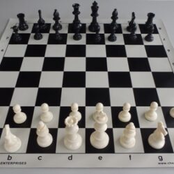 Weighted Chess Pieces (White)