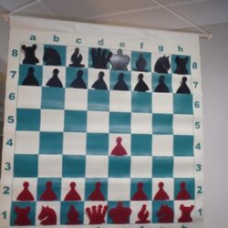 Demo Board (Including Pieces)