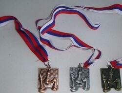 Chess Medals